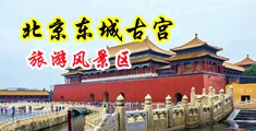 男女曰妣中国北京-东城古宫旅游风景区